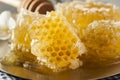 Organic Raw Golden Honey Comb Royalty Free Stock Photo