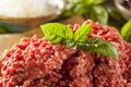 Organic Raw Grass Fed Ground Beef Royalty Free Stock Photo