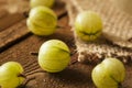 Organic Raw Green Gooseberries Royalty Free Stock Photo