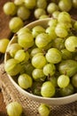 Organic Raw Green Gooseberries Royalty Free Stock Photo