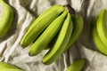 Organic Raw Green Unripe Bananas