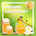 Organic raw honey concept. Honeycomb, honey ladle, honey bee, honey dipper, flowers, honey wax. Healthy food production.