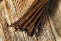 Organic Raw Madagascar Vanilla Beans Royalty Free Stock Photo