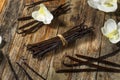 Organic Raw Madagascar Vanilla Beans Royalty Free Stock Photo