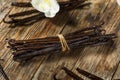 Organic Raw Madagascar Vanilla Beans Royalty Free Stock Photo