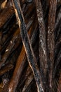 Organic Raw Madagascar Vanilla Beans Royalty Free Stock Photo