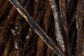 Organic Raw Madagascar Vanilla Beans Royalty Free Stock Photo