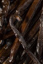 Organic Raw Madagascar Vanilla Beans Royalty Free Stock Photo