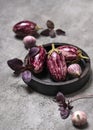 Organic raw purple mini eggplants with garlic and basil on grey stone background. Royalty Free Stock Photo