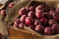 Organic Raw Red Potatoes Royalty Free Stock Photo