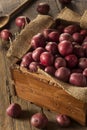 Organic Raw Red Potatoes Royalty Free Stock Photo