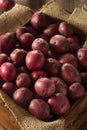 Organic Raw Red Potatoes Royalty Free Stock Photo