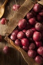 Organic Raw Red Potatoes Royalty Free Stock Photo