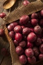 Organic Raw Red Potatoes Royalty Free Stock Photo