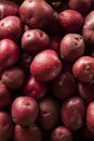 Organic Raw Red Potatoes Royalty Free Stock Photo