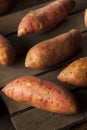 Organic Raw Sweet Potatoes Royalty Free Stock Photo