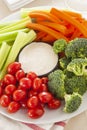Organic Raw Vegetables with Ranch Dip Royalty Free Stock Photo