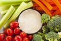 Organic Raw Vegetables with Ranch Dip Royalty Free Stock Photo