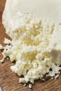 Organic Raw White Mexican Cotija Cheese Royalty Free Stock Photo