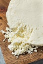 Organic Raw White Mexican Cotija Cheese Royalty Free Stock Photo