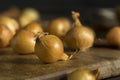 Organic Raw Yellow Pearl Onions Royalty Free Stock Photo