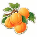 Organic Realism: Vibrant Apricots In Feminine Sticker Art