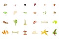 Organic recycle compost icons set.