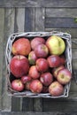 Organic Red apples