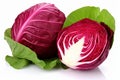 Organic red cabbage isolated on white background for sale - fresh healthy vegetable concept Royalty Free Stock Photo