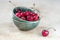 Organic red cherries on a green ceramic bowl with an one cherry, close up Royalty Free Stock Photo