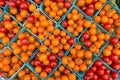 Organic red cherry tomatoes at a Farmer`s Market Royalty Free Stock Photo