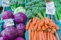 Organic red, green cabbage, broccoli, carrots and garlic at farmer market in Washington, USA Royalty Free Stock Photo