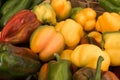 Organic red, green and yellow bell peppers sold at farmers market Royalty Free Stock Photo