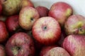 Organic Red Johnny Apples in a plastic bucket