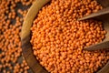 Organic Red Lentils in Bowl on Wooden Table