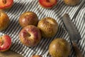 Organic Red Mottled Pluots Royalty Free Stock Photo