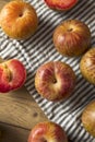 Organic Red Mottled Pluots Royalty Free Stock Photo