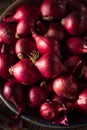 Organic Red Pearl Onions Royalty Free Stock Photo
