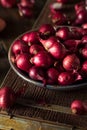 Organic Red Pearl Onions Royalty Free Stock Photo