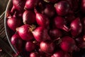 Organic Red Pearl Onions Royalty Free Stock Photo