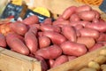 Organic Red Potatoes in a Bin at a Farmers Market Royalty Free Stock Photo