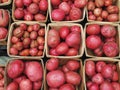 Organic red potatoos at farmers market. Royalty Free Stock Photo