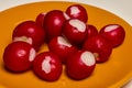 organic red radishes on a plate Royalty Free Stock Photo