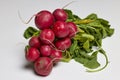 organic red radishes on a table Royalty Free Stock Photo