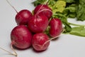 organic red radishes on a table Royalty Free Stock Photo