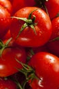 Organic Red Ripe Tomatoes Royalty Free Stock Photo