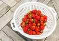 organic red strawberries in white colander