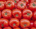 Organic red tomatoes closeup Royalty Free Stock Photo