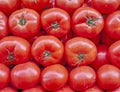 Organic red tomatoes closeup Royalty Free Stock Photo