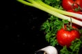 Organic Red Tomatoes on the vine, fresh Curly Parsley, Green Onion Scallions and Garlic arranged on natural black stone Royalty Free Stock Photo